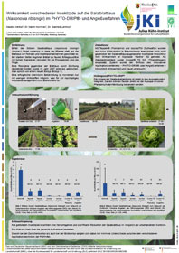 Wirksamkeit verschiedener Insektizide auf die Salatblattlaus (Nasonovia ribisnigri) im PHYTO-DRIP®- und Angießverfahren